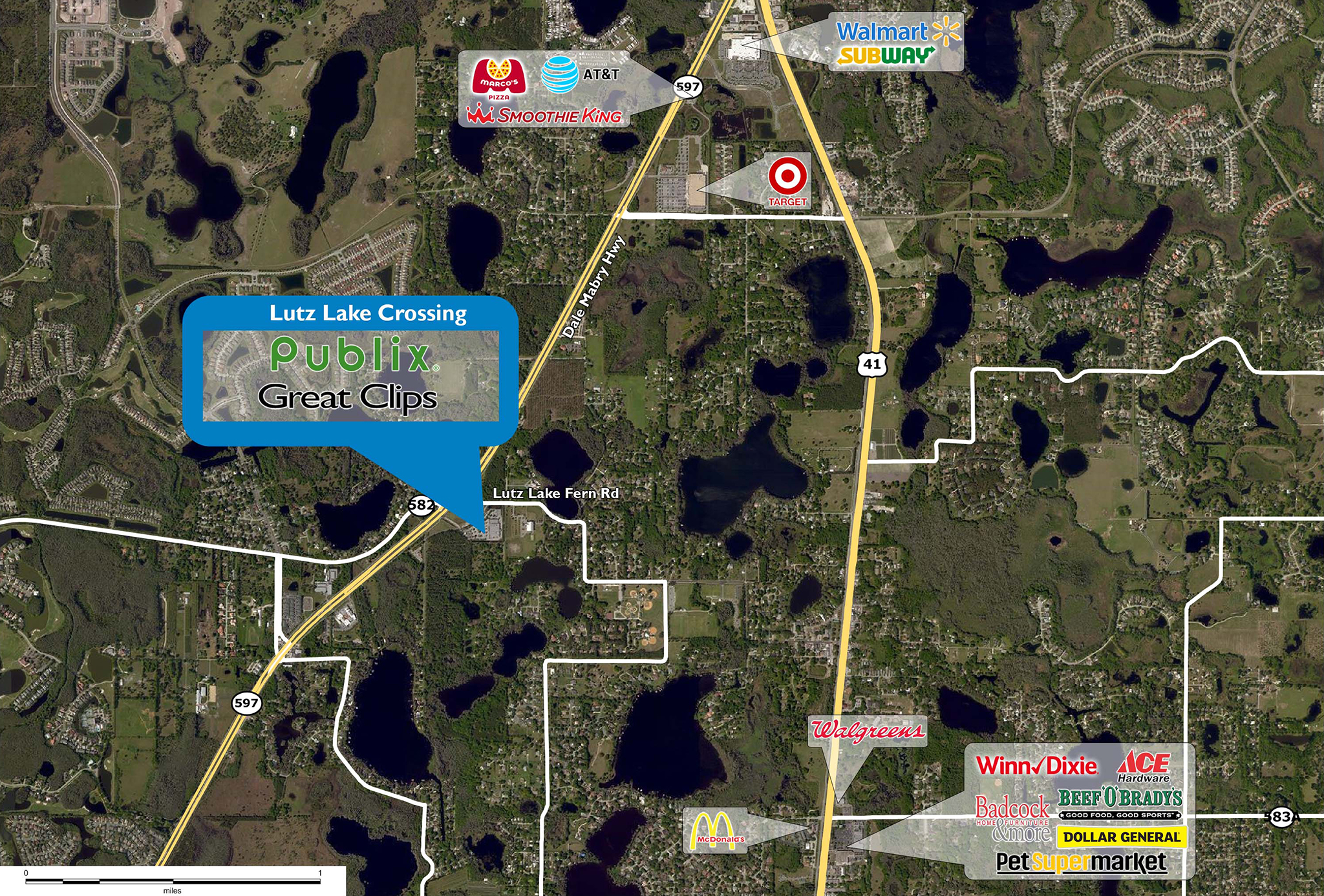 Retail Space for Lease in Lutz, FL Lutz Lake Crossing PECO