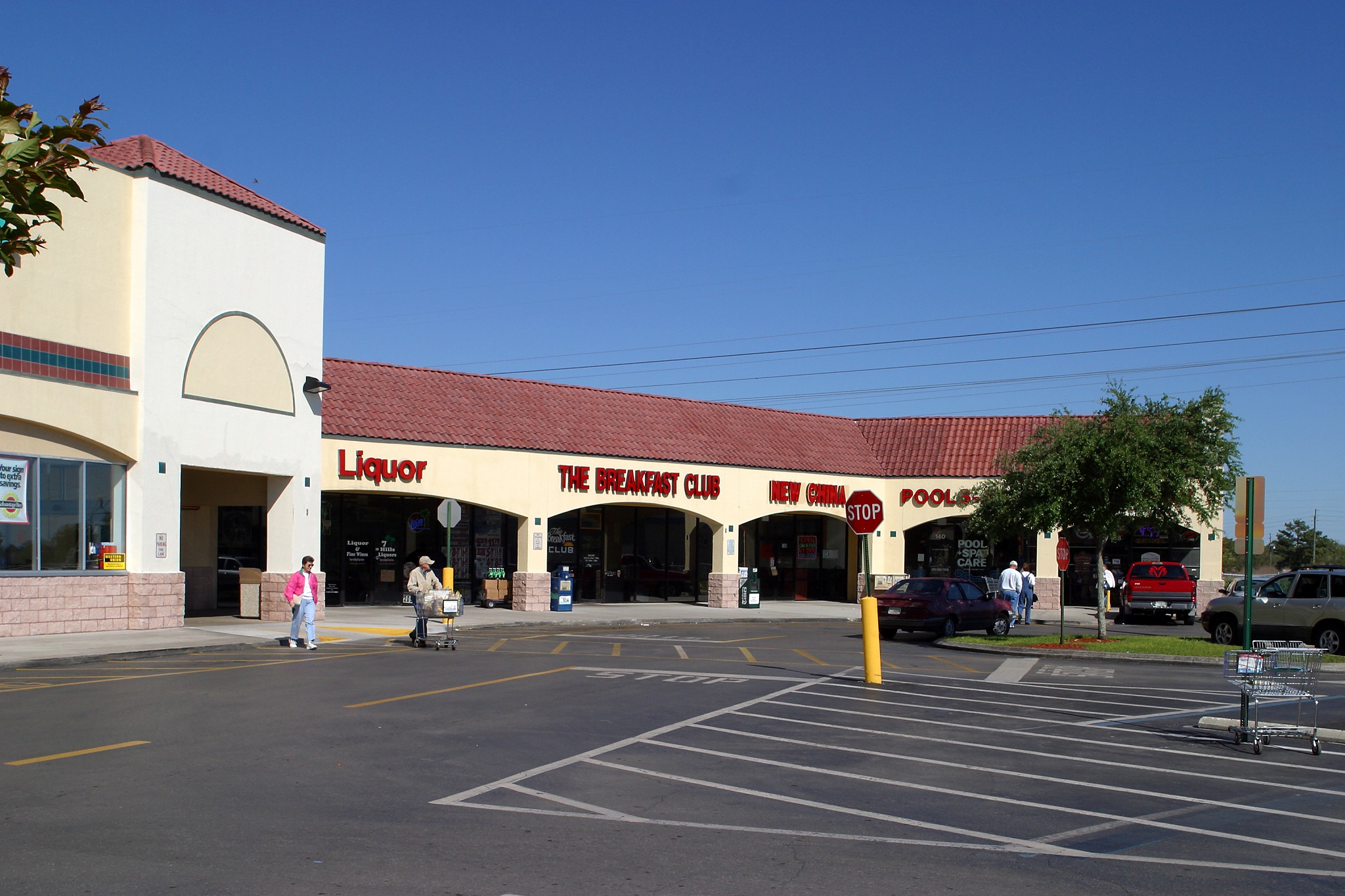 Publix at Seven Hills 2